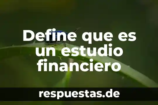 Define que es personalidad derecho 4 Define que es un estudio financiero