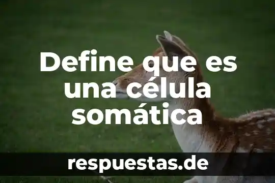 Qué es el nucleolo célula animal 7 Define que es una célula somática