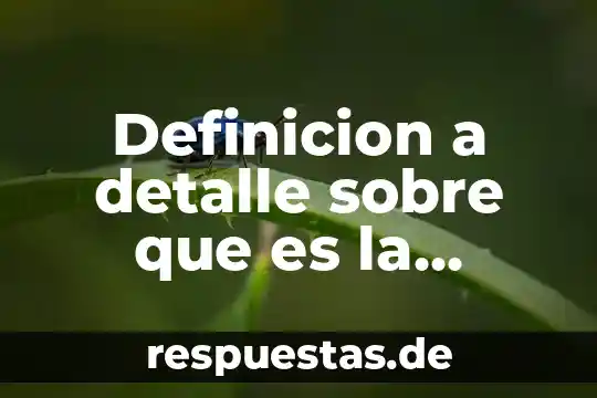 Definicion de que es un organo 8 Definicion a detalle sobre que es la computadora
