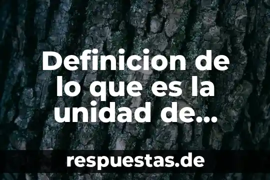 Definicion de lo que es la unidad de entrada