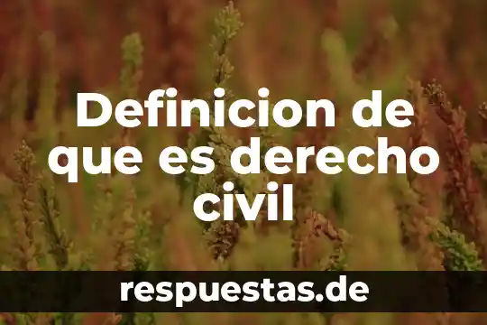 Definicion de que es derecho civil