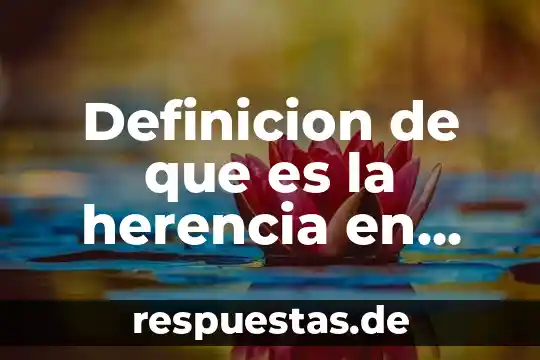 Que es una mouse definicion para niños 6 Definicion de que es la herencia en programacion