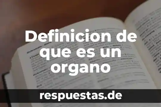 Que es la sociedad definicion con autor 8 Definicion de que es un organo