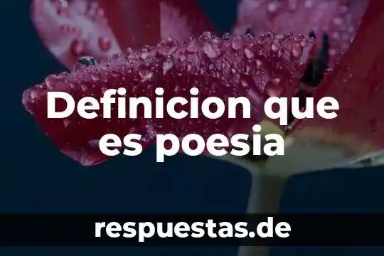 Definicion de que es un organo 3 Definicion que es poesia