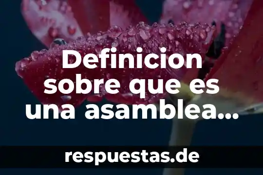 Acta de asamblea que es 8 Definicion sobre que es una asamblea nacional constituyente