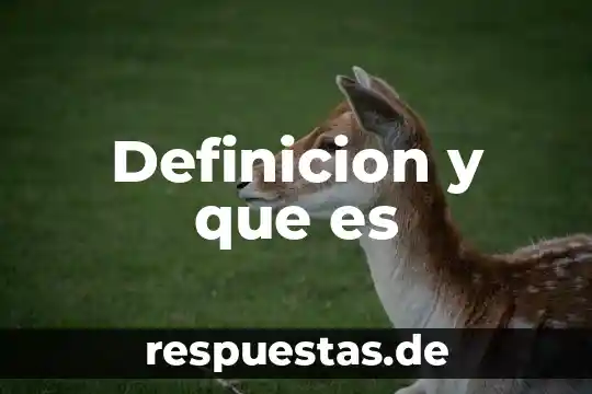 Qué es la santidad definición 6 Definicion y que es