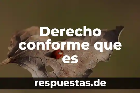 Que es exepcion de conetividad en derecho 5 Derecho conforme que es
