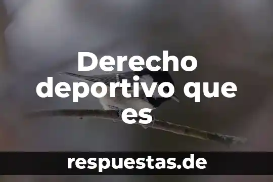Derecho deportivo que es