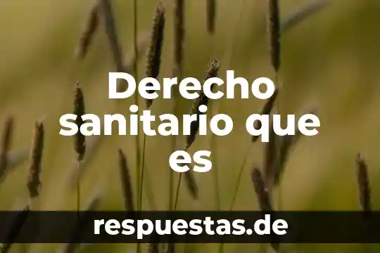 Que es un fiscal sanitario aduanal 3 Derecho sanitario que es