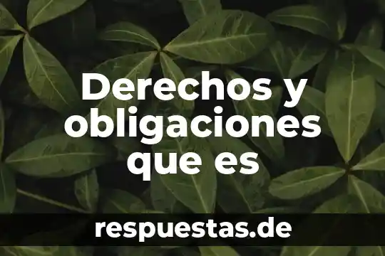 Derechos y obligaciones que es