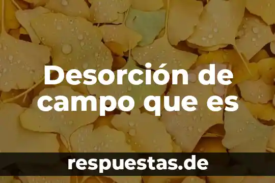Qué es el trabajo de campo en la antropología 4 Desorción de campo que es