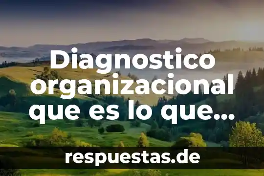 Qué es la cultura organizacional según Stephen Robbins 3 Diagnostico organizacional que es lo que contiene