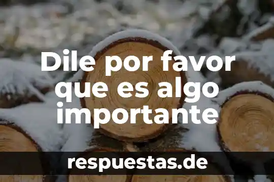 Que es algo plano 5 Dile por favor que es algo importante