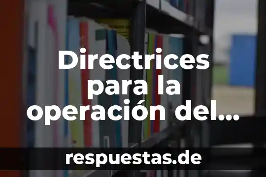 Que es operacion de proceso 6 Directrices para la operación del proyecto que es