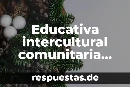 Que es un diagnostico de salud comunitaria concepto y definicion 6 Educativa intercultural comunitaria que es