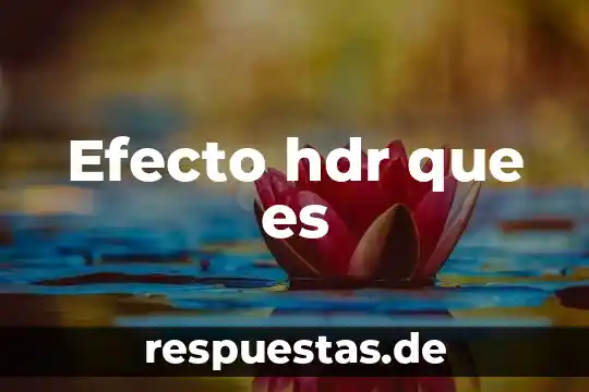 Que es un efecto bactericida 5 Efecto hdr que es