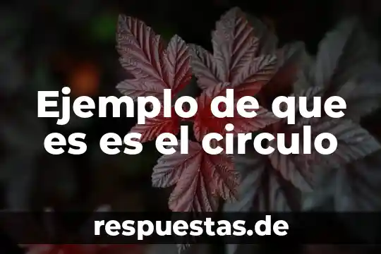 Que es un circulo de conceptos 3 Ejemplo de que es es el circulo