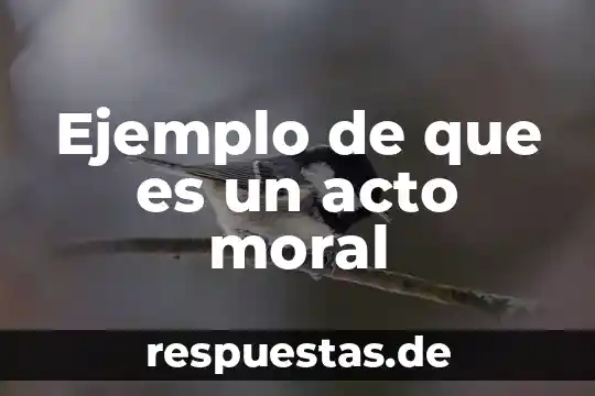 Que es progreo y un ejemplo 4 Ejemplo de que es un acto moral