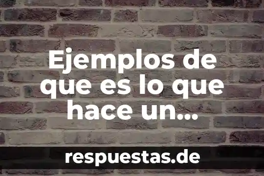 Que hace subdireccion de proteccion animal que es 3 Ejemplos de que es lo que hace un cracker