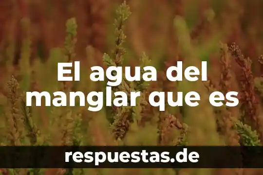 Que es el agua animación 4 El agua del manglar que es