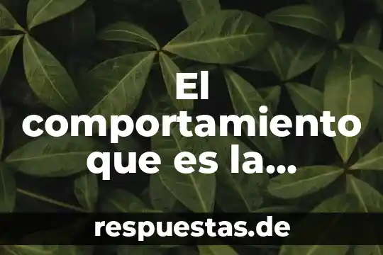 Qué es una olimpiada nacional 7 El comportamiento que es la bandera nacional