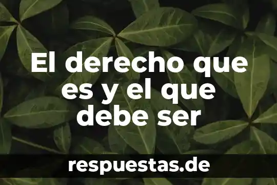 Que es lo que no debe hacer un investigador criminal 5 El derecho que es y el que debe ser