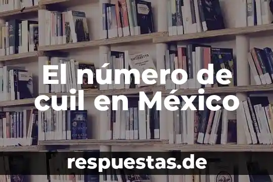 Que es una dialisis en mexico 3 El número de cuil en México