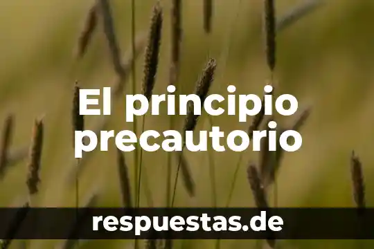Que es un principio y que es una ley 7 El principio precautorio