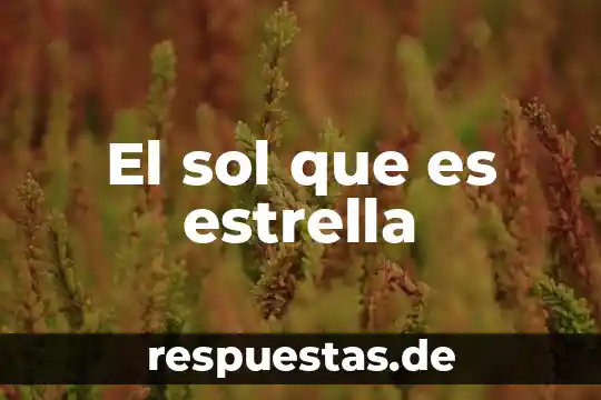 En que capitulo luna se entera que es sol benson 3 El sol que es estrella