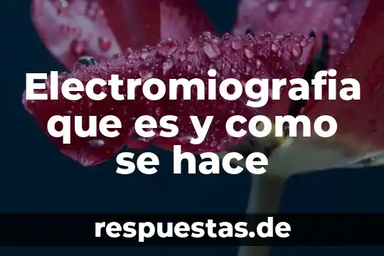 Que es lo que les hace ser reptiles 4 Electromiografia que es y como se hace