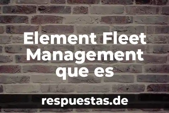 Element Fleet Management que es
