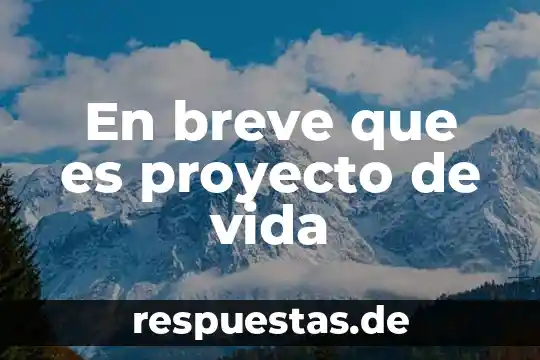 Una breve conclusión de que es excel 4 En breve que es proyecto de vida