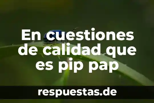 En cuestiones de calidad que es pip pap