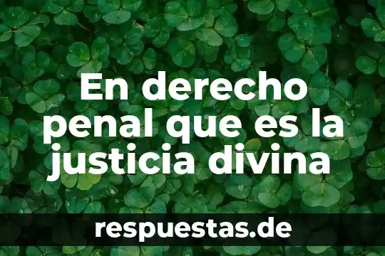 Qué es derecho procesal penal en México 7 En derecho penal que es la justicia divina
