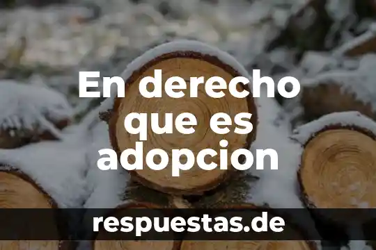 En derecho que es adopcion