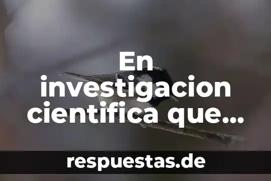 En investigacion cientifica que es un problema