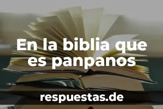 Qué es un ángulo definición 4 En la biblia que es panpanos