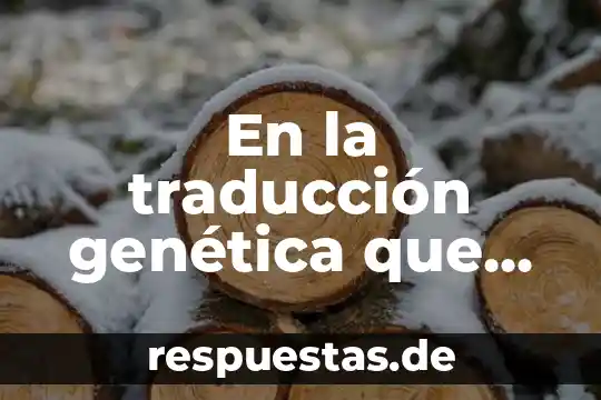 Que es el derecho a la educacion en ingles traduccion 3 En la traducción genética que es carga