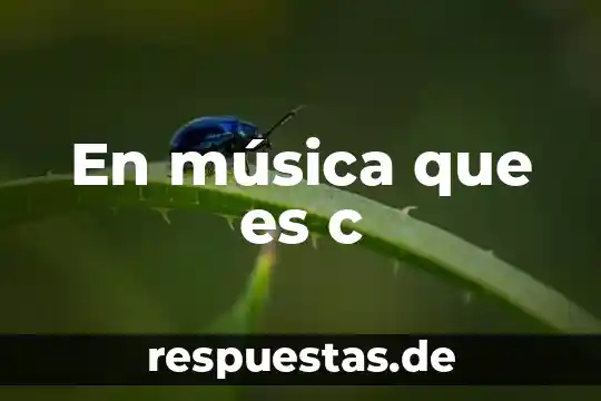 ¿Qué es Oxital C? 7 En música que es c
