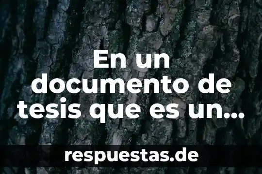Que es documento rector de la ubv 6 En un documento de tesis que es un apéndice