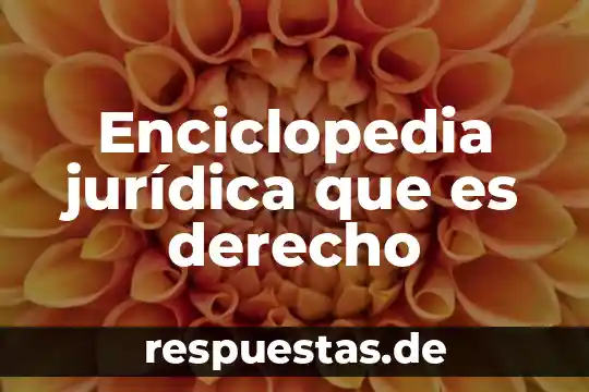 Enciclopedia financiera que es economica 4 Enciclopedia jurídica que es derecho