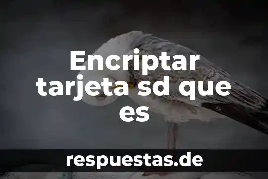 Que es ser sd o sm 8 Encriptar tarjeta sd que es