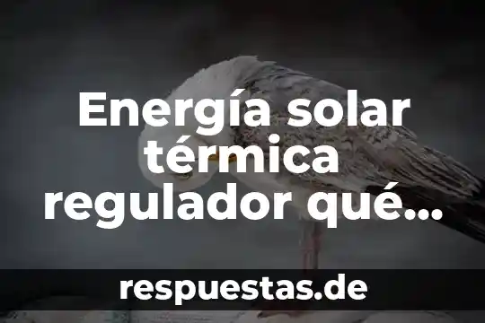 Que es radiación térmica Yahoo 8 Energía solar térmica regulador qué es