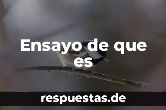 Que es bicondicional concepto 7 Ensayo de que es