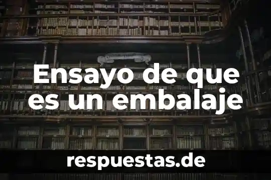 Qué es un ensayo y cómo está compuesto 4 Ensayo de que es un embalaje