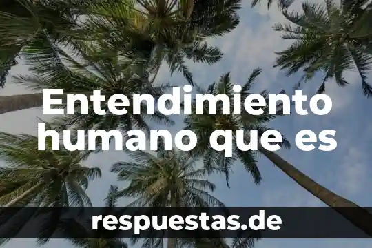 Que es la doctrina segun el derecho 3 Entendimiento humano que es