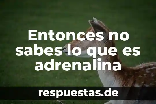 Sabes lo que es esto no alguna idea 3 Entonces no sabes lo que es adrenalina