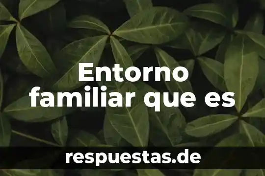 Qué es el número de tarjeta 3 Entorno familiar que es