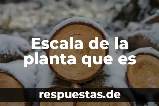 Que es polinizar una planta 8 Escala de la planta que es