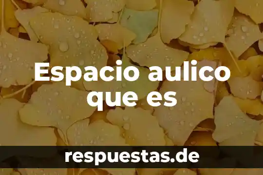 Qué es un guardavida en espacio confinado 8 Espacio aulico que es